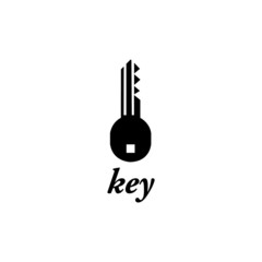 key icon vector - illustration