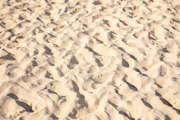 Fine sand texture - Sandy sunny beach for background - Top view - Full frame shot - Close-up sun sand texture on beach in summer – travel holiday vacation Close up