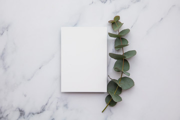 Blank white invitation stationery card with eucalyptus leaves.