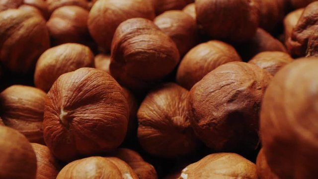 motion over large pile of shining cracked hazelnuts macro