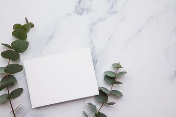 Blank white invitation stationery card with eucalyptus leaves.