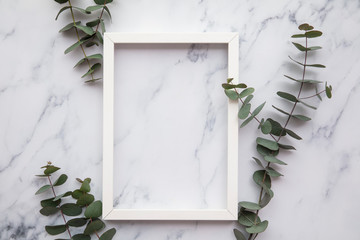 Blank white frame with eucalyptus leaves lay flat composition
