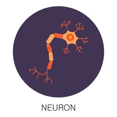 Neuron icon in flat style isolated on white background. Human anatomy medical organ vector illustration