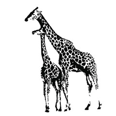 Mom & baby animals wild giraffe. Vector illustration on a transparent background.