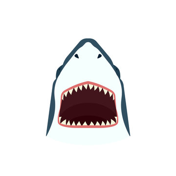 Shark open mouth icon. Clipart image isolated on white background
