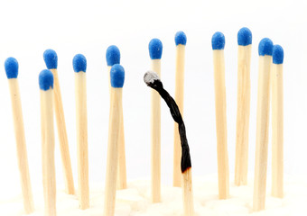 New matches around a burnt one. Stress burnout concept.