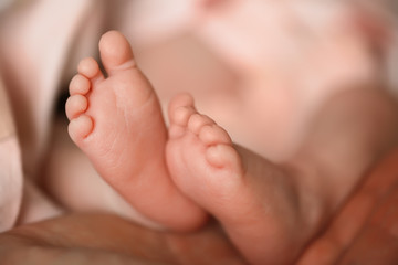 Heels of a newborn baby in the hands of a man - 316762741