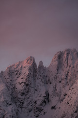 Obraz premium sunrise at lofoten islands mountains. peaks during winter sunrise. pinky and red light with peak and mountains under snow. skottinden and himmeltindan