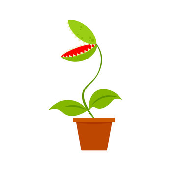 Venus fly trap in pot icon. Clipart image isolated on white background Stock Vector | Adobe Stock Venus fly trap in pot icon. Clipart image isolated on white background Stock Vector | Adobe Stock