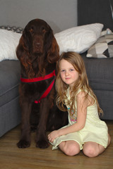 Little blonde girl sits on the floor near the sofa and hugs a big brown dog flat coated retriever