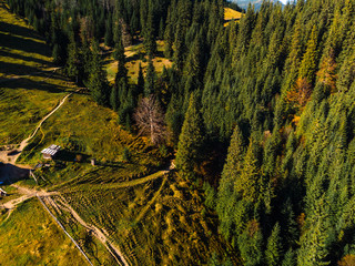 Aerial view of seasonal cheese dairy on the top of the mountain, cattle pen. autumn view of fields...