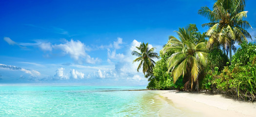 Fototapeta Beautiful tropical beach with white sand, palm trees,  turquoise ocean against blue sky with clouds on sunny summer day. Perfect landscape background for relaxing vacation, island of Maldives. obraz