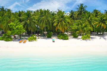 Beautiful white sandy beach with turquoise ocean water, waves, green fluffy palm trees and blue sky with clouds, Aerial view, copy space.