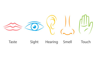 5 sense colorful icon set. Clipart image isolated on white background