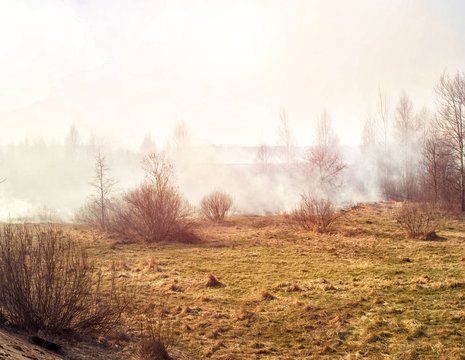 Dry Grass Burning In The Spring Forest, Fire. Increased Fire Hazard In Nature, A Lot Of Smoke, Background, Landscape