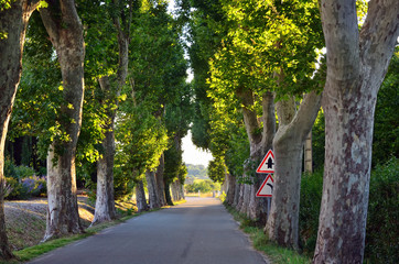 Asphalt road in the countryside of Provence, France.