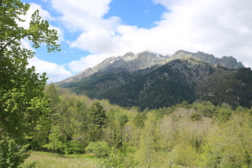 Korsika