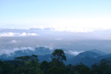Fototapeta premium landscape of mountain with mist at Ba Na hills in Vietnam