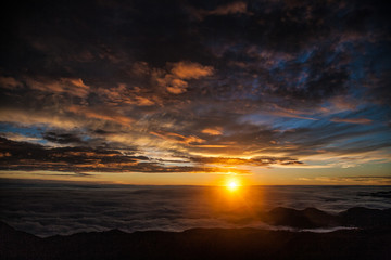 sunrise over the amazon forest sunset