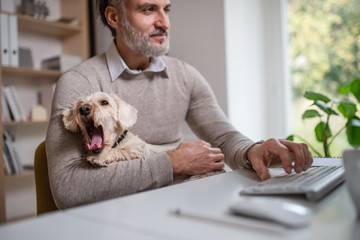 Mature businessman sitting at the desk with dog indoors in office.