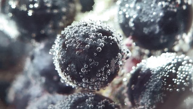 black grapes close up under water with bubbles macro selective focus