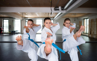 Group of young women practising karate indoors in gym. © Halfpoint