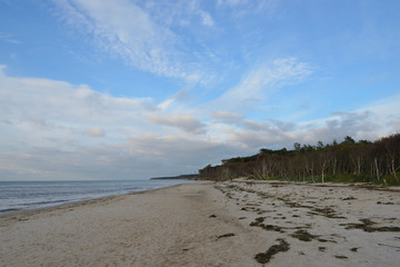 Im Darßwald und Weststrand im Nationalpark