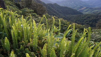 view of mountains