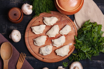 Cooking Ukrainian dumplings. Kitchen Products