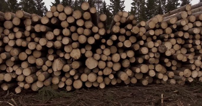 Aerial shot of a large pile of stacked timber