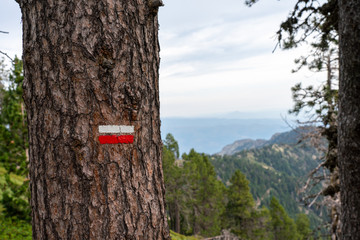 Fototapeta premium Sentier