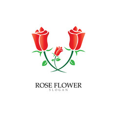 Beauty rose flower vector icon design template