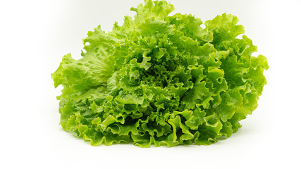 Lettuce on a white background. Isolated