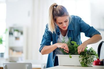 Young woman indoors at home, cutting herbs. © Halfpoint