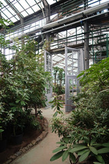 The door in the greenhouse with evergreens