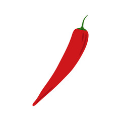 Doodle red chilli isolated on white background. Hand drawn cayenne pepper vegetable. Vegetarian healthy food. Fresh organic ingredient. Vector illustration
