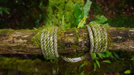 ropes and the wood