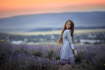 Fototapeta na wymiar Girl of 8 years dressed in purple cotton dress collects lavender flowers in natural field.