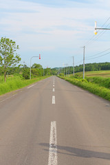 釧路から阿寒への雄大な景色　道路　