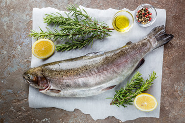 Raw trout fish on paper with rosemary and lemon on a stone table, top view