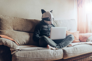 Man with a raccoon head costume using the laptop in the sofa - obrazy, fototapety, plakaty