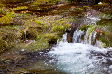 waterfall in forest