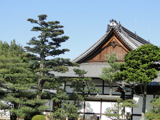 Tejado japones, palacio japones