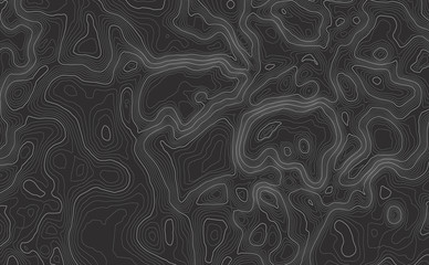 Background of the topographic map. Topographic map lines, contour background. Geographic abstract grid. EPS 10 vector illustration.