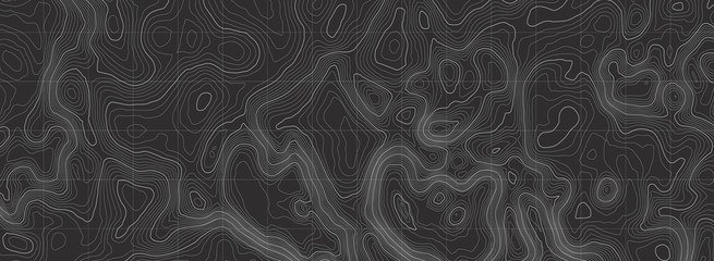 Background of the topographic map. Topographic map lines, contour background. Geographic abstract grid. EPS 10 vector illustration. - obrazy, fototapety, plakaty