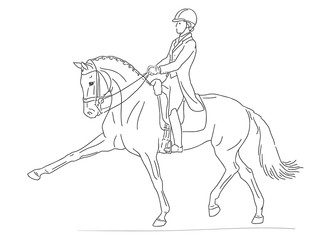 Dressage rider and horse demonstrate an extended trot