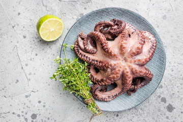 Boiled octopus ready for serve with lemon and thyme on plate over gray background, top view