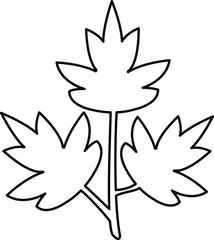 parsley icon, vector illustration