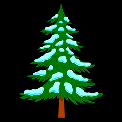 Illustration of pine tree with snow in cartoon style isolated on white background. Design element for poster, banner, card, emblem