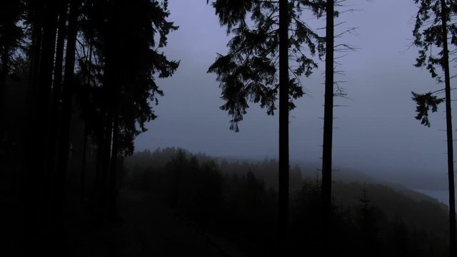 Drone rising out of a dark mystical and foggy forest